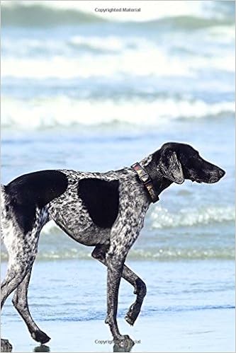 grey and black spotted dog