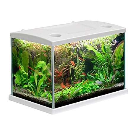Acquario Cleo In Vetro Colore Bianco Per Pesci Rossi Completo 15 Lt
