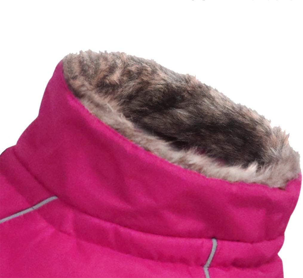 Morezi Dog Coats Waterproof Dog Winter Coat with Padded Fleece Lining Harness D Ring Fit for Labrador Retriever Cockapoo Springer Spaniel Doberman in Cold Weather - Image 5