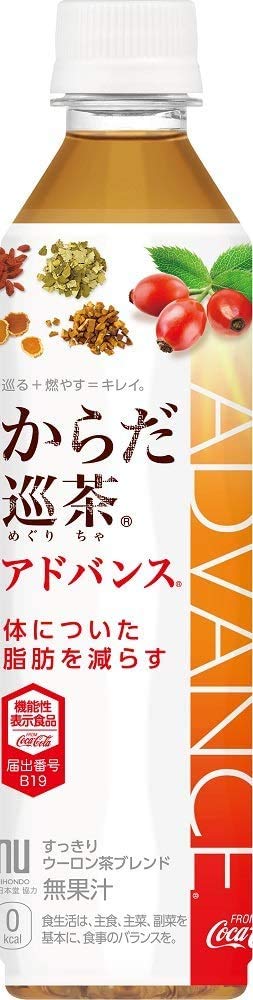 からだ巡茶 Advance 410mlPET×48本 2ケース商品画像