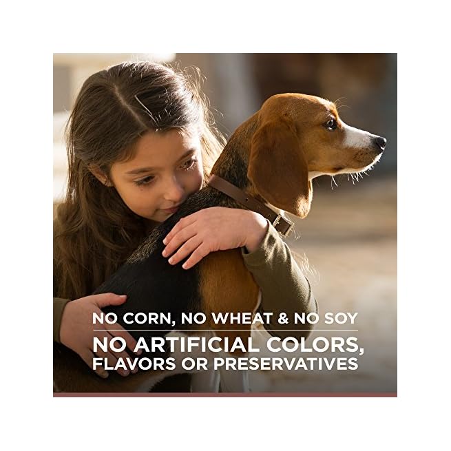 hill's ideal balance grain free dog food