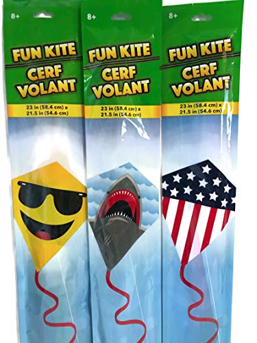 Kids Fun Kites - Pack of 3