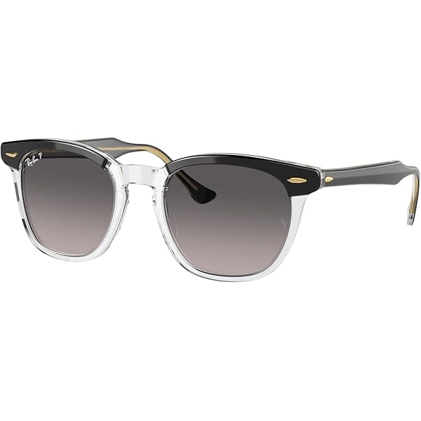Amazon.com: Ray-Ban RB2298 Sunglasses Bundle: RB 2298