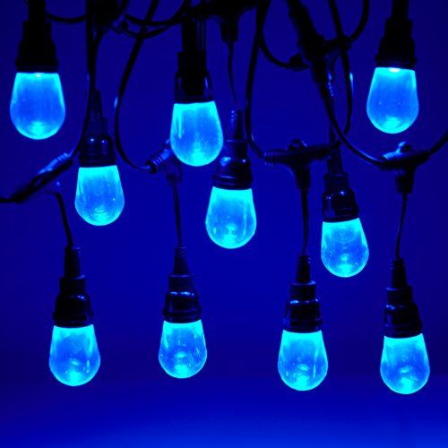 Newhouse Lighting RGBWSTRING18 Outdoor LED Color Changing RGB String Lights with Warm and Cool White Light with Weatherproof Technology, Heavy Duty 36-Foot Cord with 18 Hanging Sockets and Remote