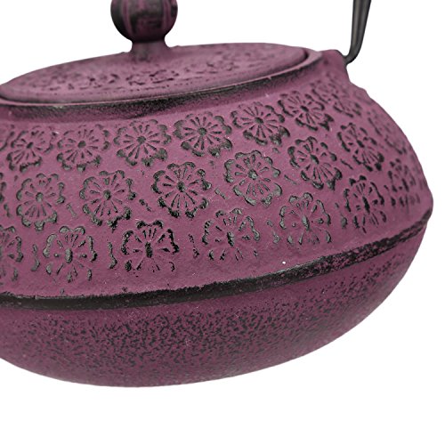 30 oz Cast Iron Teapot Enamel Lining W/Metal Infuser Tea Kettle,Purple