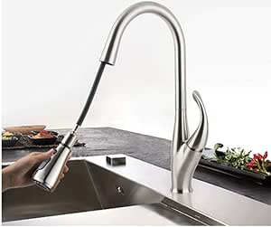 FUJUNJIE Grifo Giratorio de la Cocina del Grifo de la Cocina del Agua