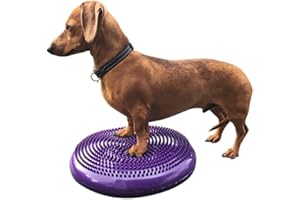 DEZAL Dog Balance Disc Cushion 14" - With 2 Exercises and Pump - Dog rehab Exercise Strength Endurance Conditioning Fitness F