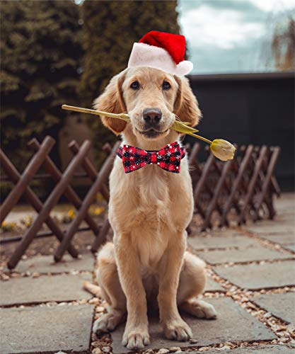 Malier Christmas Dog Collar and Bow tie with Classic Snowflake Pattern, Adorable Collar with Light Release Buckle Pet Accessories for Puppy Dogs Cats Pets - S