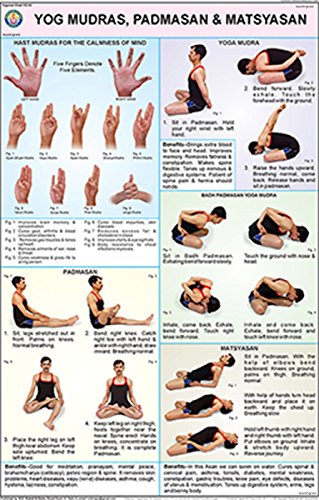 Yog Mudras, Padmasan and Matsyasan Yoga Chart (50x75cm) Wall Chart – 2015 by teachingnest (Author)
