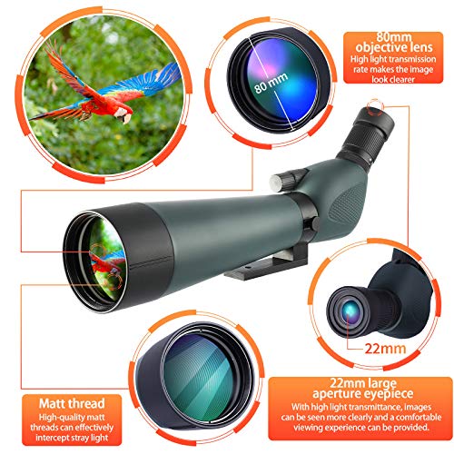 HD Spotting Scope with Tripod 2060x80mm Hollee IP67 Waterproof Angled