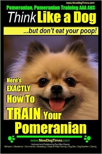 pomeranian puppy training