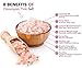 Royal Chef House Premium Pink Himalayan Salt (Coarse, 2lb) (1 Pack)