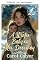 Livro Um bebê de inverno à sua porta (Amor e valor na fronteira)