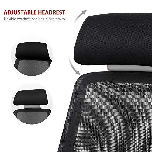 Bonum Ergonomic Mesh Office Chair High-Back Swivel Computer Task Chair Adjustable Headrest with Adjustable Armrest Lumber Support Desk Executive Chair (Matte Black)