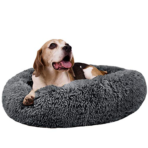 MFOX Calming Dog Bed (L/XL/XXL/XXXL) for Medium and Large Dogs