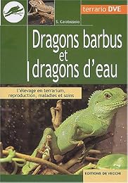 Dragons barbus et dragons d'eau