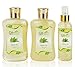 Giftsational Spa Gift Basket with Green Tea Fragrance, Great Birthday or Mothers Day Gift for Women - Spa Bath Gift Set Includes Bubble Bath, Bath Salts, Bath Fizzers, Shower Gel & Body Spray