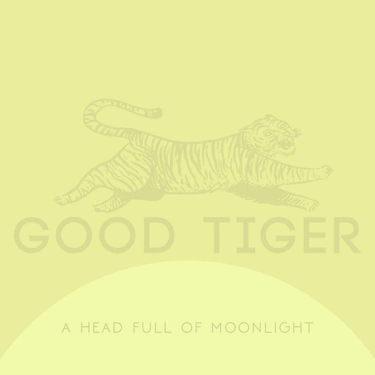 A Head Full Of Moonlight