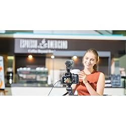 Sony Alpha 7 IV Full-frame Mirrorless