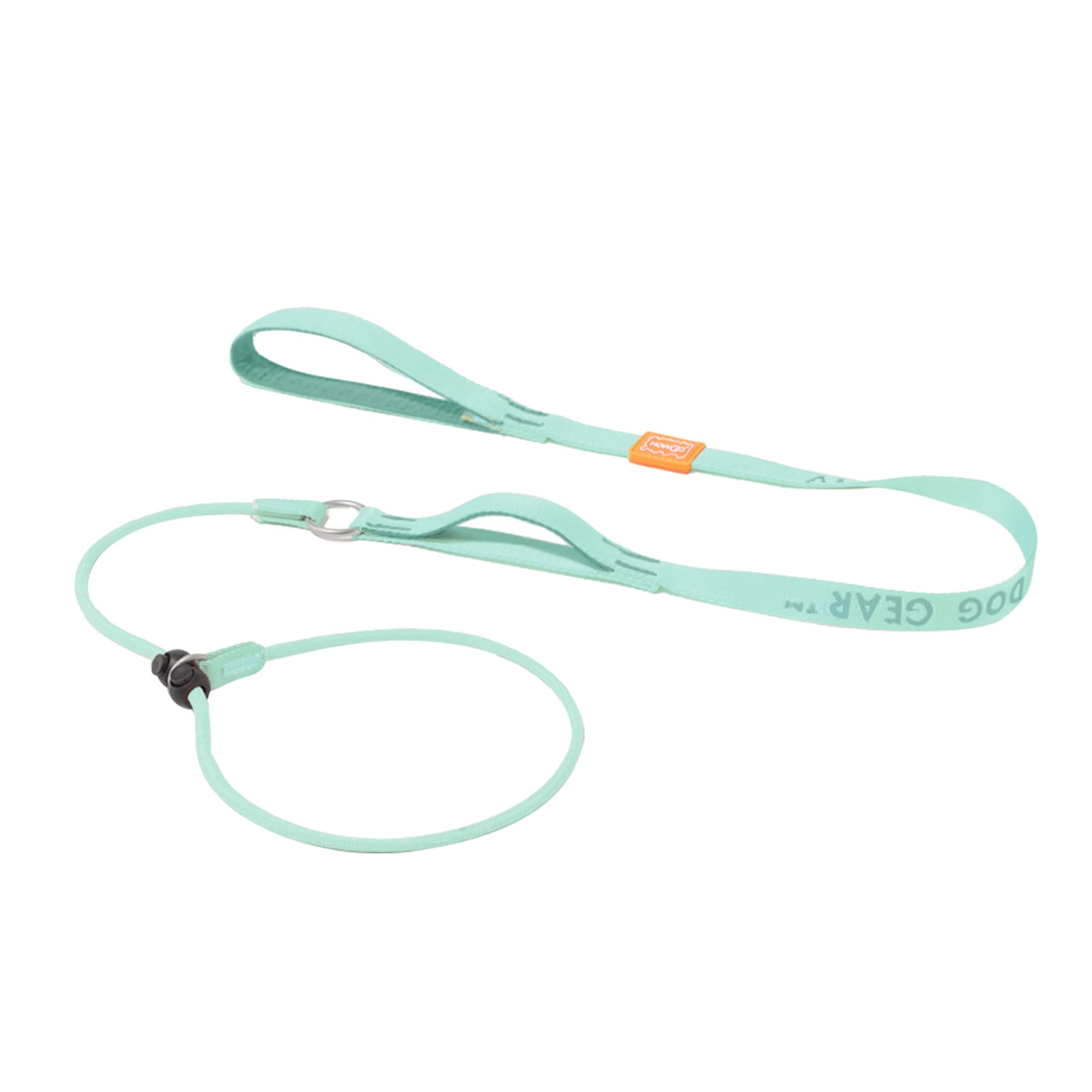Howgo Dog Slip Lead Dog Leash, Training Leash, No-Pull Lightweight Slip Lead and Collar, Heavy Duty & Durable, Padded Handle, for All Breeds (MintGreen, 5FT)