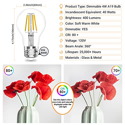 A19 E26 Base Dimmable Edison LED Bulb, 4W(40 Watt Equivalent) Stepless