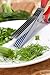 Kitchen Herb Shears (5 Blades) and Multi-purpose Kitchen Scissors Set, Red and Black, Stainless Steel, Plus 121 Cooking Secrets Ebook