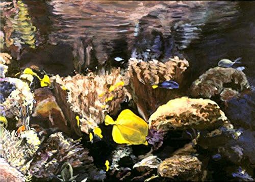 In The Deep VI, A Framed Painting Set In An Aquarium