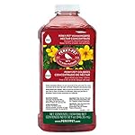 Perky-Pet 238 Hummingbird Nectar, 32-Ounce Concentrate