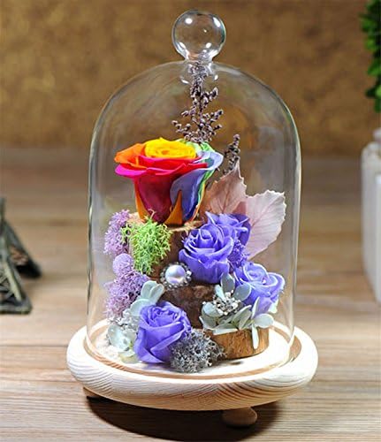 Handmade Preserved Rose Never Withered Roses Flower in Glass Dome, Gift for Valentine's Day Anniversary Birthday, with LED Flash Light (Gift box package)