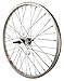 Sta-Tru Silver Steel 1 Speed Coaster Brake Hub Rear Wheel (20X1.5-Inch)