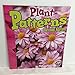 Plant Patterns (Finding Patterns)