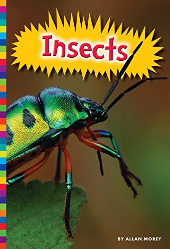 Insects (Animal Kingdom) - Kindle edition by Allan Morey. Children