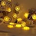 Novelty Lemon Decor Fairy String Lights with 20 LED, Battery Operated Warm Twinkle Christmas String Lights for Kitchen,Party,Wedding,Festival,Home Decorations,13ft/4m (Provide Two Extra Lemon Slices)