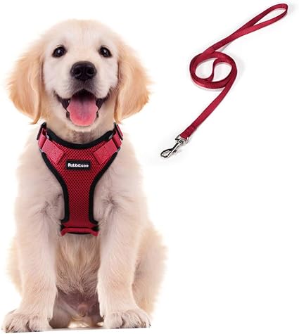 Rabbitgoo Harnais Chat Petit Chien Laisse Harnais Chaton