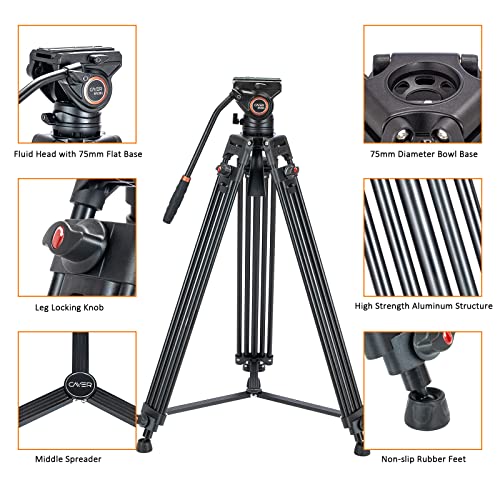 Video Tripod System, Cayer BV30L 72 inch Professional Heavy Duty