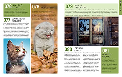 The-Total-Cat-Manual-Meet-Love-and-Care-for-Your-New-Best-Friend