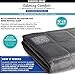 Calming Comfort Reversible Cooling Weighted Blanket by Sharper Image- Dual Sided Viscose Bamboo & Soft Velveteen for Hot & Cold Sleepers, Heavy Blanket for Adults, BPA-Free Microbeads- 12 lbs, Grey