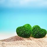 Luffy Heart Marimo: Unique Heart-shaped Rare Live plant that brings good luck, charm & prosperity: Perfect gift for Every Occasion