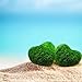 Luffy Heart Marimo: Unique Heart-shaped Rare Live plant that brings good luck, charm & prosperity: Perfect gift for Every Occasion