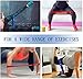 Letsfit Resistance Loop Bands, Resistance Exercise Bands for Home Fitness, Stretching, Strength Training, Physical Therapy, Natural Latex Workout Bands, Pilates Flexbands, 12