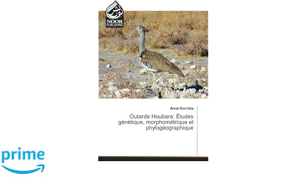 Outarde Houbara études Génétique Morphométrique Et - 