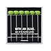 Prodyne Cocktail Picks, Set of 6, Green
