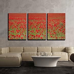 3 Piece Canvas Wall Art - an Entire Fields of Wonderful Red Poppies - Modern Home Art Stretched and Framed Ready to Hang - 16"x24"x3 Panels