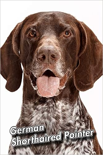 Buy German Shorthaired Pointer Weekly Calendar July 2019