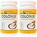 DrNatura COLONIX Powder Mix Intestinal Cleanser Supports Colon Health Soluble & Insoluble Fiber 2 pack(360g per container, 720g total)