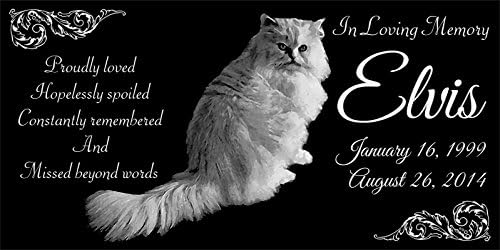 Lazzari Collections Personalized Persian Cat Pet Memorial 12"x6" Engraved Black Granite Grave Marker Headstone Plaque ELV1
