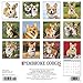 Just Pembroke Corgis 2020 Wall Calendar (Dog Breed Calendar)