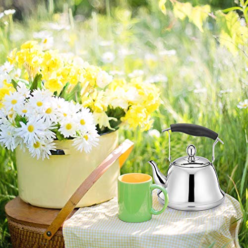 Whistling Tea Kettle with Infuser Stainless Steel Teapot Sliver Teakettle for Stovetop Induction Stove Top Fast Boiling Heat Water Cute Tea Pot 2-Liter 2.1-Quart