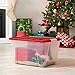 IRIS USA TB-56D Holiday Plastic Storage Tote, 3 Pack, Clear/Red, 3 Count