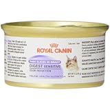 Best flooring for cats